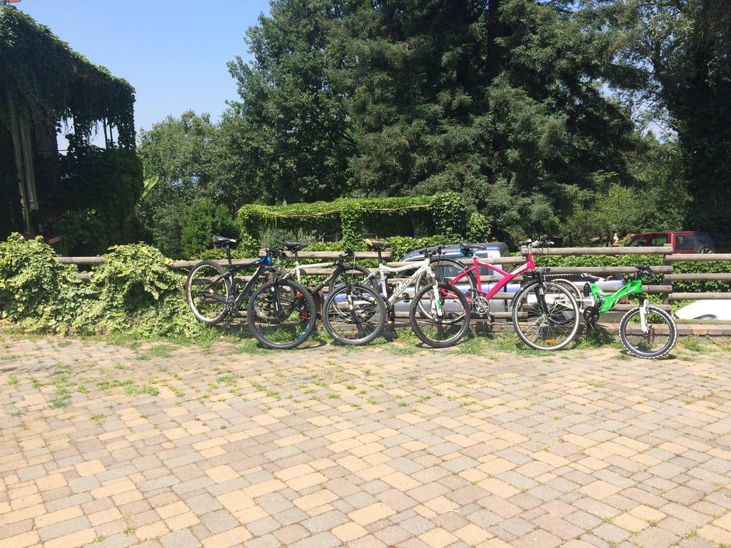 Fattoria Sequoia Bed & Breakfast Castagneto Po Екстериор снимка
