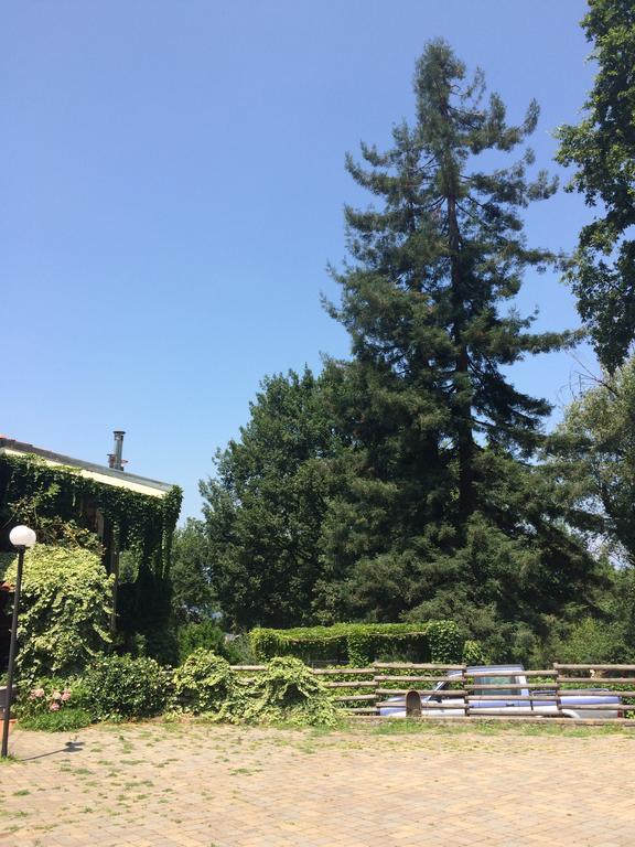 Fattoria Sequoia Bed & Breakfast Castagneto Po Екстериор снимка
