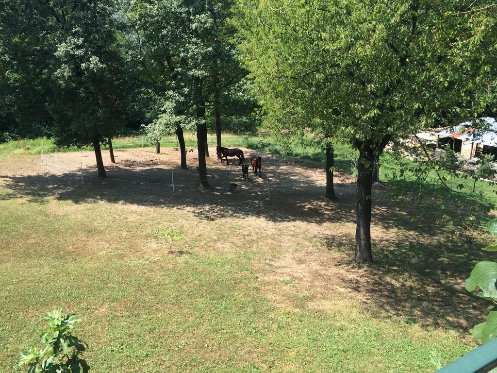 Fattoria Sequoia Bed & Breakfast Castagneto Po Екстериор снимка